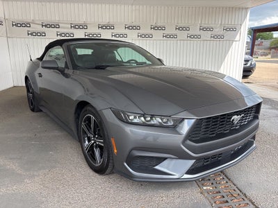 2025 Ford Mustang EcoBoost Premium